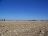 80 acres 74 tillable Scotland County Mo.  SOLD